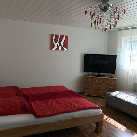 Apartment Ρόιτλινγκεν Εξωτερικό φωτογραφία
